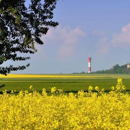 Marienleuchte Strandgut