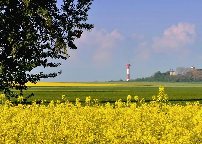 Marienleuchte Strandgut
